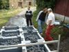 vendange 2004 014.jpg